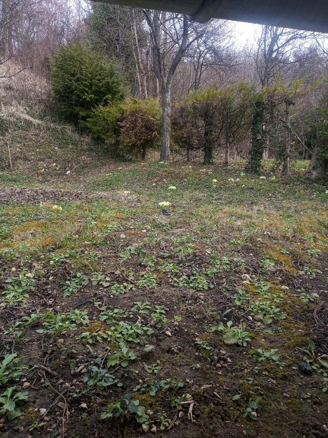 Holiday Home Nature Plesivica Jastrebarsko Exterior foto
