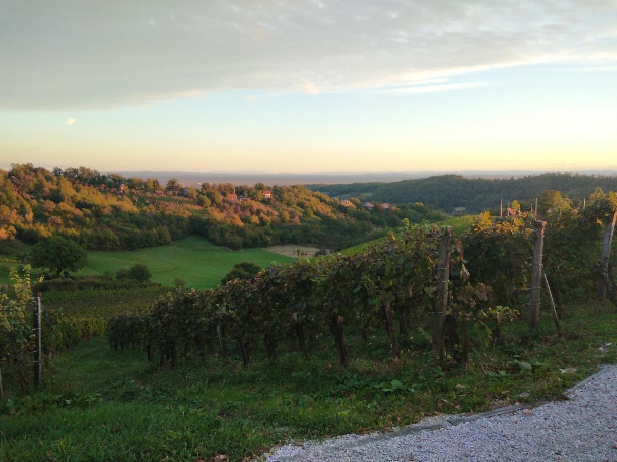 Holiday Home Nature Plesivica Jastrebarsko Exterior foto